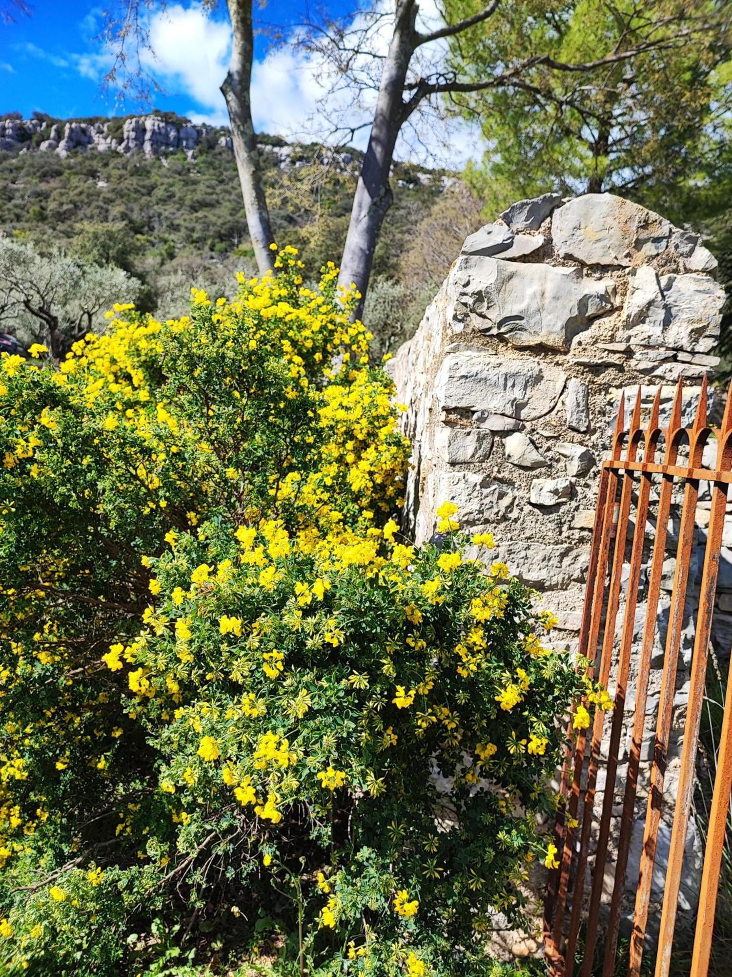 La Bergerie De Corconne Βίλα Εξωτερικό φωτογραφία